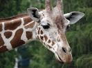 Wycieczka do wrocławskiego ZOO 
